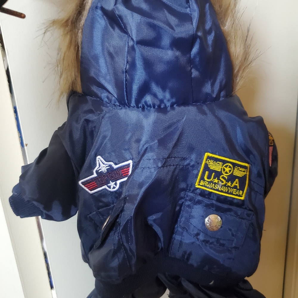 Small dog coat - Picture 4 of 5